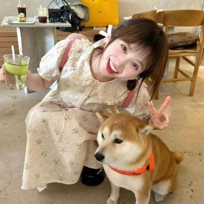 侠岚第二季